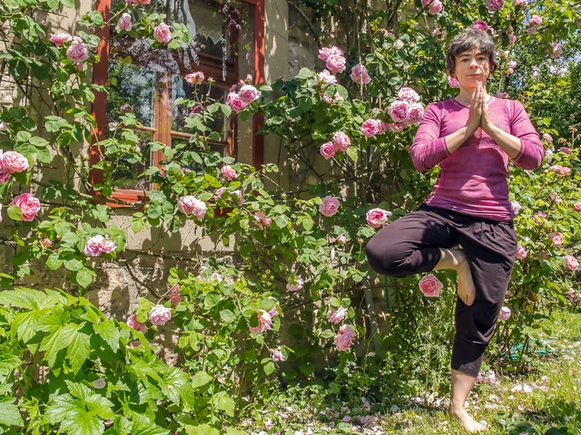 May Yoga